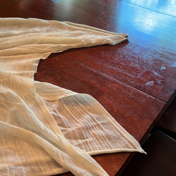 Asymmetrical sheer gauzy dress or liner with some front ruche - Picture 4 of 4